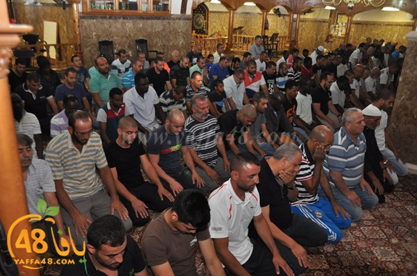 kaber yaffa js (7).JPG